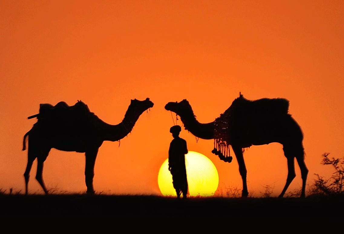 Golden Triangle Tour with Pushkar 6 Night & 7 Day